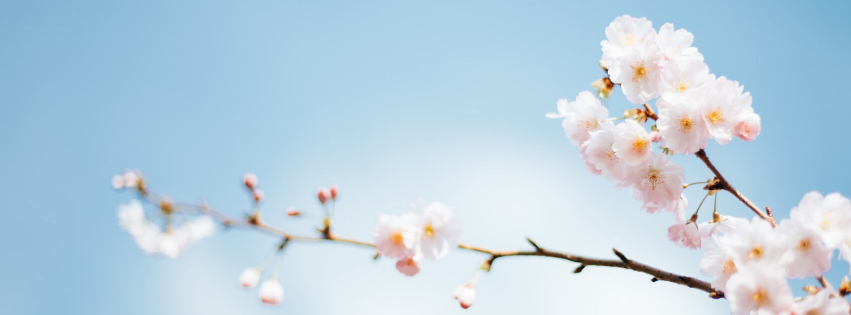 涵菱